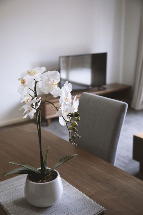 Quest Wagga Wagga - Taree Accommodation 11