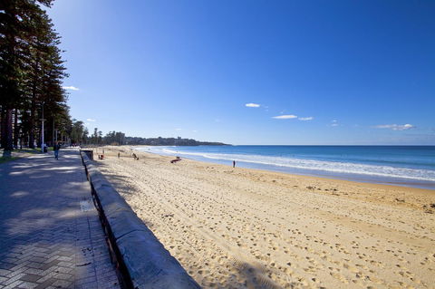 Manly Paradise Motel & Apartments - Taree Accommodation 8