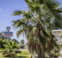 Allonville Gardens Motel - Taree Accommodation