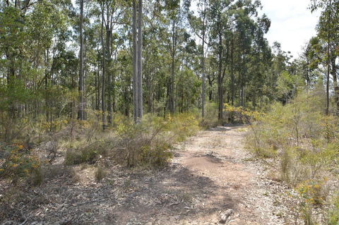 JE Guesthouse, Central To All The Hunter Valley Has To Offer - Taree Accommodation 44
