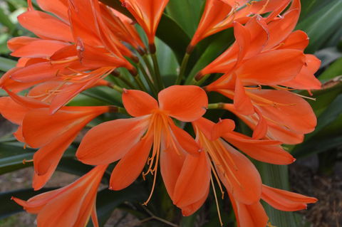 JE Guesthouse, Central To All The Hunter Valley Has To Offer - Taree Accommodation 39