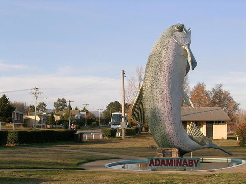 Cooma Motor Lodge Motel - Taree Accommodation 19
