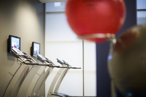 Fraser Suites Sydney - Taree Accommodation 29
