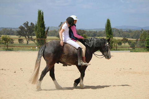Belisi Farmstay Cottage - Taree Accommodation 28