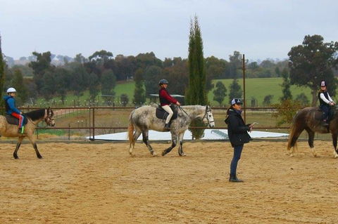 Belisi Farmstay Cottage - Taree Accommodation 34