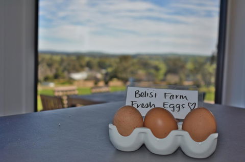 Belisi Farmstay Cottage - Taree Accommodation 20