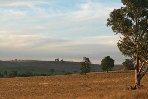 Belisi Farmstay Cottage - Taree Accommodation 33