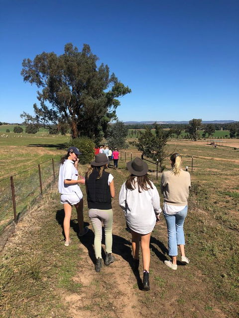 Belisi Farmstay Cottage - Taree Accommodation 7