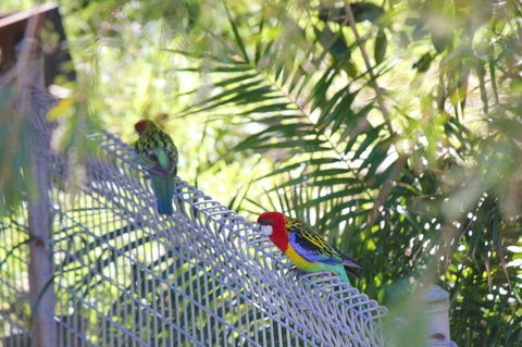 Marty's @ Little Beach - Taree Accommodation 27