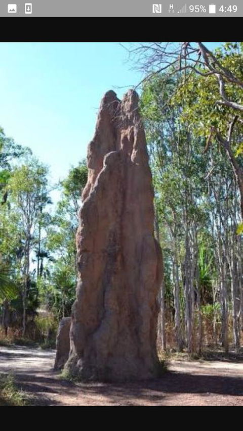 'Tropical Oasis - Darwin NT - Taree Accommodation 31