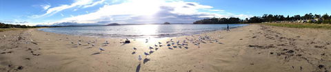 Corrigans Cove - Taree Accommodation 2