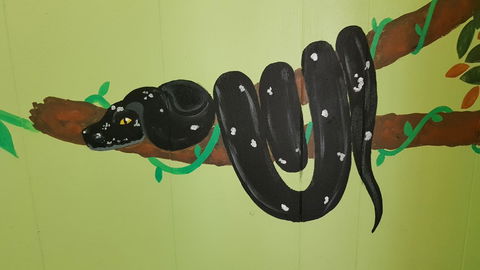 Alice\'s Secret Travellers Inn - Taree Accommodation 37