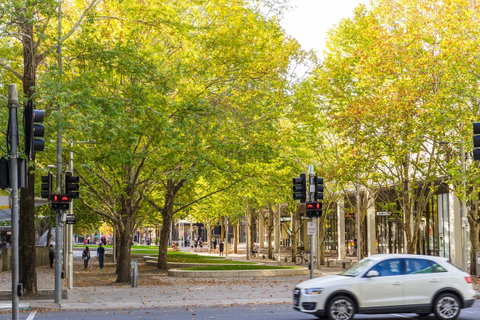 Highgate Executive Apartment City Walk Canberra - Taree Accommodation 37