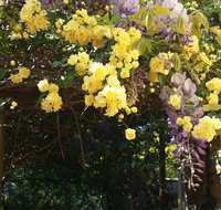 Bowral Road Bed and Breakfast - Taree Accommodation