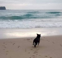 Breakers at Mudjimba Beach - Taree Accommodation