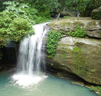 Buderim Forest Hideaway - Taree Accommodation