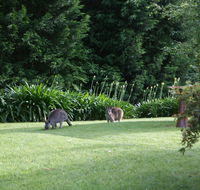 Bundanoon 2578 - Taree Accommodation