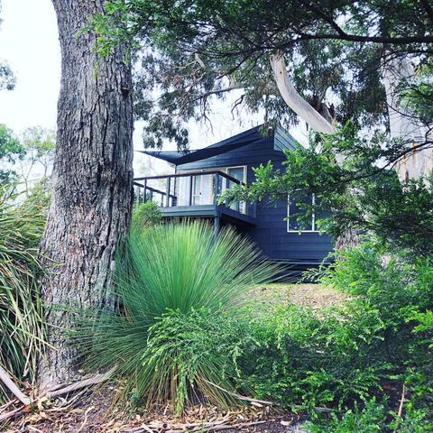 Bush Hideaway By The Beach - Taree Accommodation 3