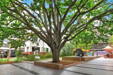 Canberra Luxury Apartment 8 - Taree Accommodation 1