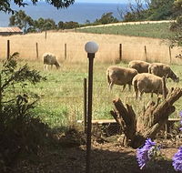 Cape View B and B - Taree Accommodation