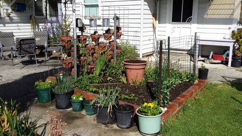 Carisbrook Cottage Queenscliff - Taree Accommodation 1