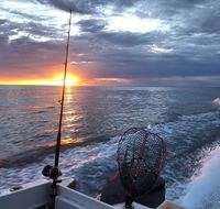 Carnarvon Retreat - Taree Accommodation