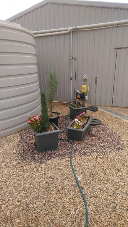 Chrissie's Dongara - Taree Accommodation 2