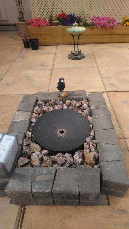 Chrissie's Dongara - Taree Accommodation 1