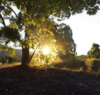 Clarendon Forest Retreat - Taree Accommodation