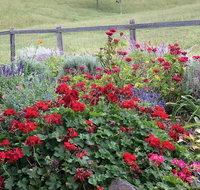 Country Mile Escape - Taree Accommodation