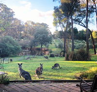 Countryside Retreat Spa Cottage Hepburn - Daylesford