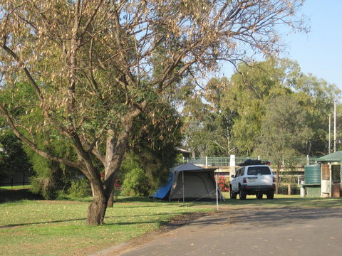 Dalby Tourist Park - Taree Accommodation 3