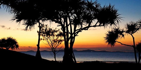 Driftwood Motel And Holiday Units - Taree Accommodation 2