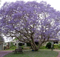 Ecotel Narooma - Taree Accommodation