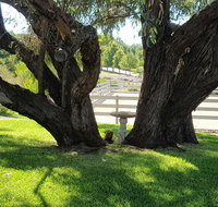 Farm Stay Studio - Taree Accommodation