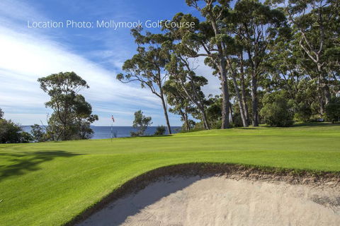 Fathoms 1 - Mollymook - Taree Accommodation 1
