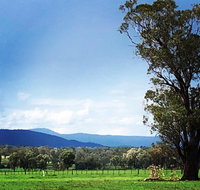 Fourjay Farmstay - Taree Accommodation