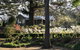 Foxglove Gardens - thumb 3