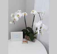 Gawler Heritage Accommodation - Taree Accommodation