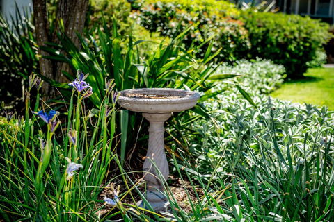 Hepburn Villas - Taree Accommodation 3