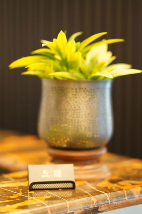 Jephson Hotel & Apartments - Taree Accommodation 3
