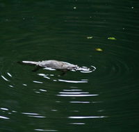 Kaalba - Taree Accommodation