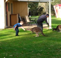 Kalgan River Chalets and Caravan Park - Taree Accommodation