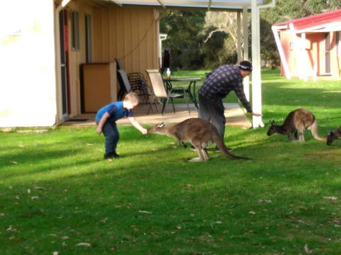 Kalgan River Chalets And Caravan Park - Taree Accommodation 0
