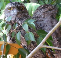 Karma Cottage - Taree Accommodation