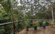 Kookaburras @ Smiths - thumb 3