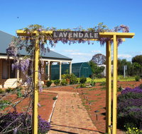 Lavendale Farmstay and Cottages York - Taree Accommodation