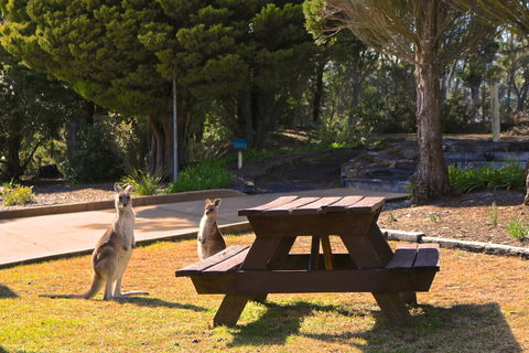 Leura Lodge At Mt Victoria - Taree Accommodation 2