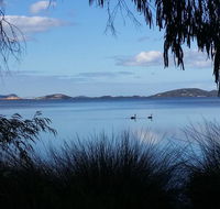Lilacs Waterfront Villas  Cottages - Taree Accommodation