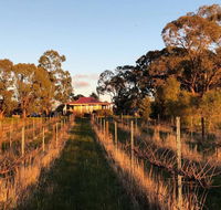 Lillicur Vineyard BB - Taree Accommodation